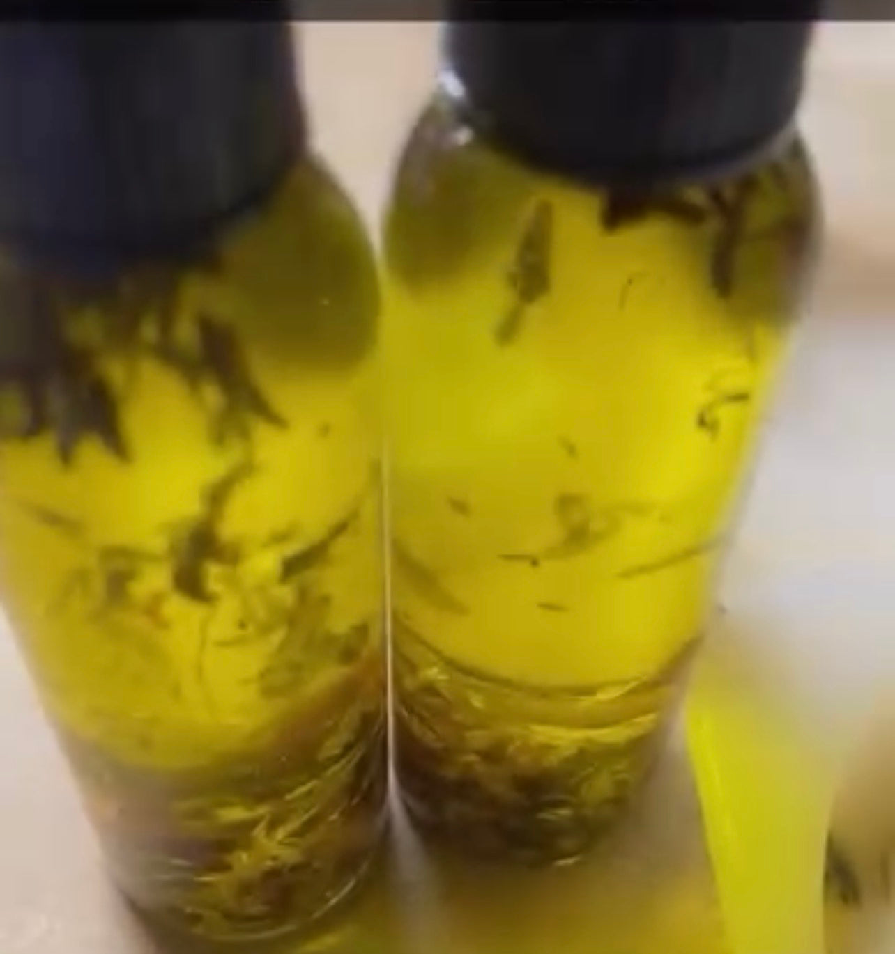 PRIVATE AREA  OIL